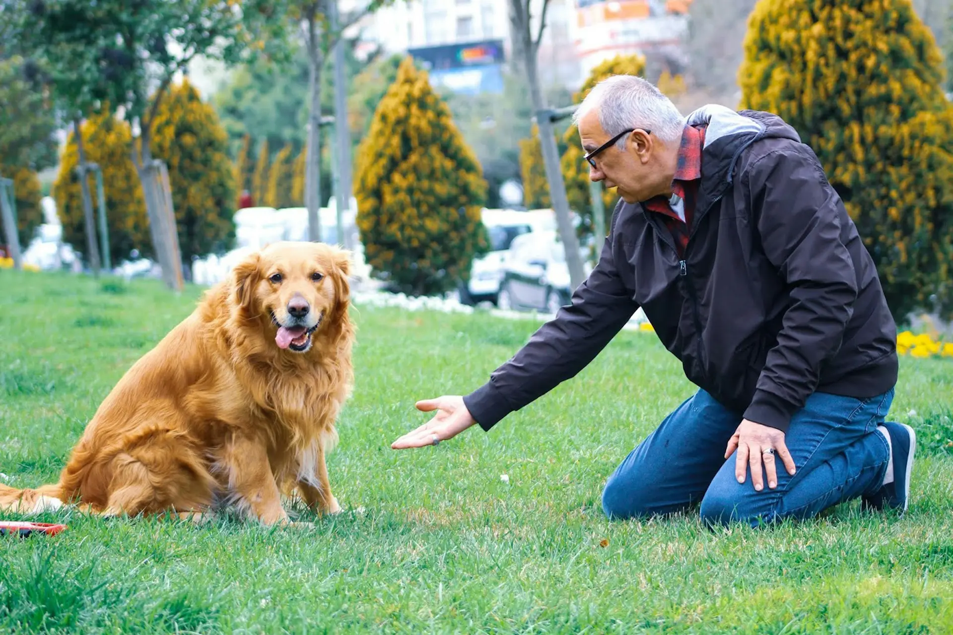Senior Dog Care at Lakeside pet hospital