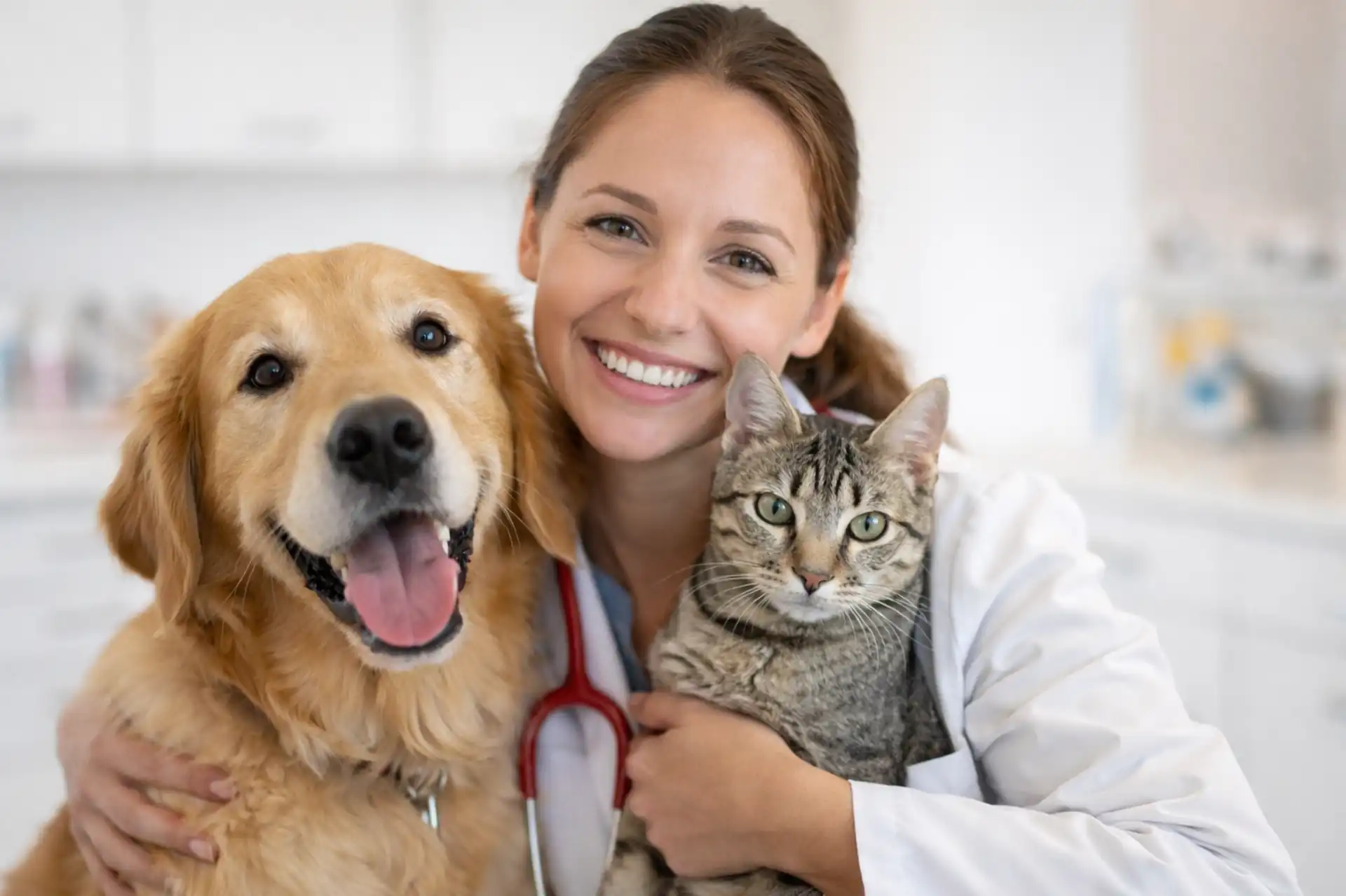 Family owned veterinary clinic in Santa Rosa - Lakeside Pet Hospital